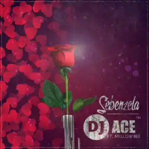 DJ ACE SA - Sebenzela ft. Mellow Bee